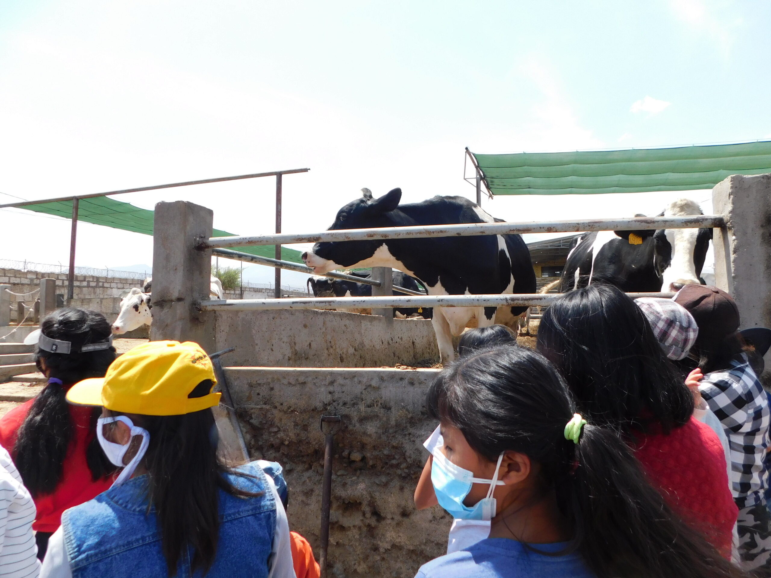 The Impact of Long-Term Sponsorship - Restoring Children International